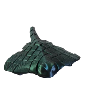 Raie manta verte
