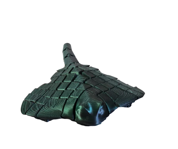 Raie manta verte